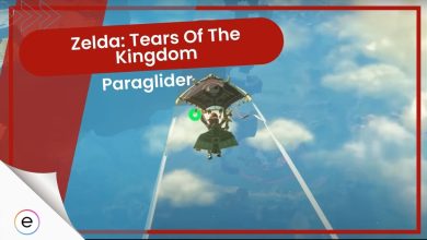Cover Image of Zelda Tears Of The Kingdom Paraglider