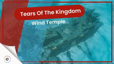 Cover Image for Zelda Tears Of The Kingdom Wind Temple