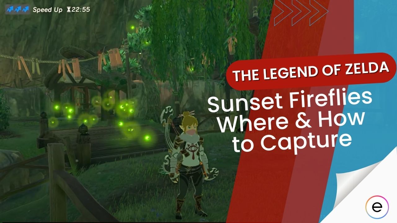 How to find and capture Sunset Fireflies in Tears of the Kingdom.