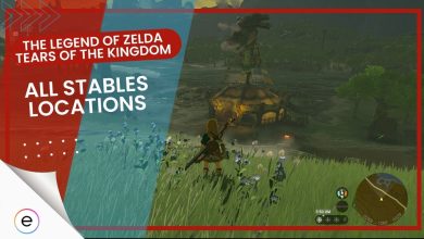 stable locations tears of the kingdom
