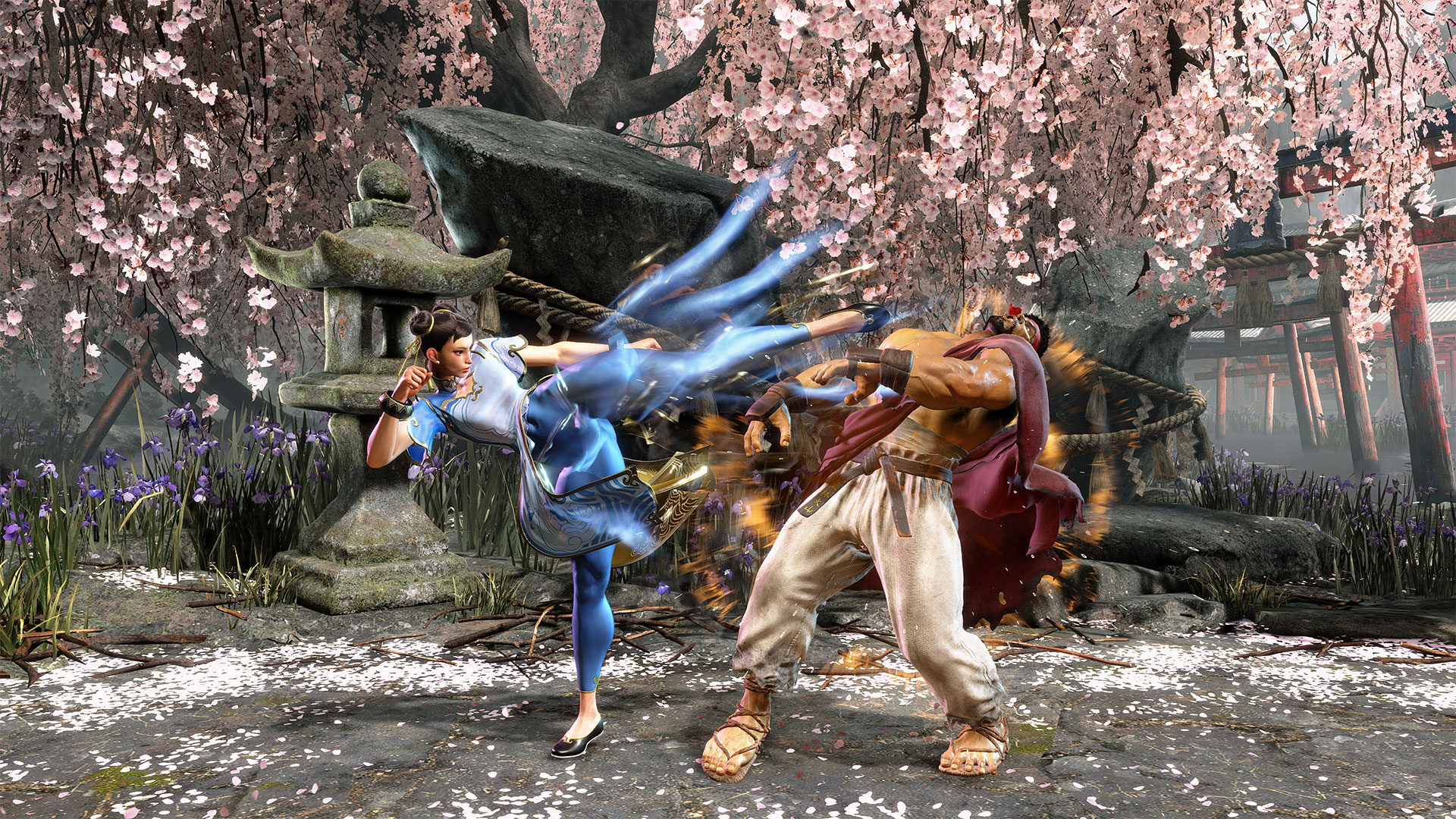 Ryu Chun Li fighting 