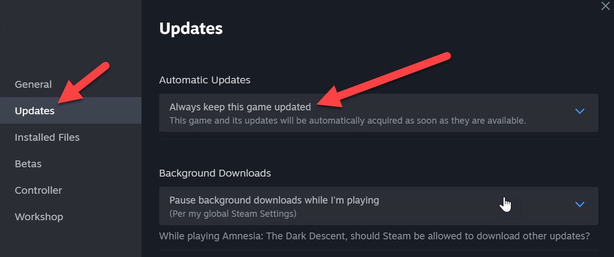 Diablo 4 Auto Update on Steam