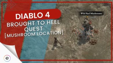 Brought To Heel quest in Diablo 4