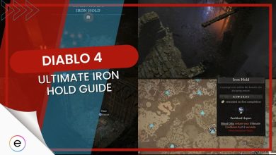The Ultimate Diablo 4 Iron Hold