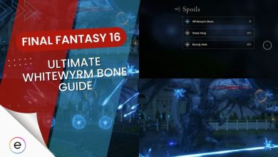 The Ultimate Final Fantasy 16 Whitewyrm Bone