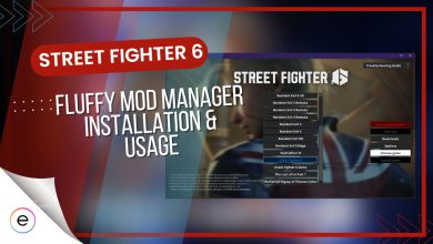 Sf6 Fluffy Mod Manager