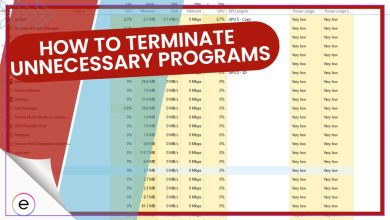 terminate unnecessary programs