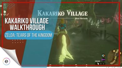 Kakariko Village Walkthrough Tears of The Kingdom Map