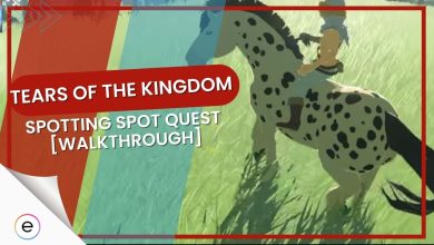 Tears of the Kingdom location Spotting Spot quest