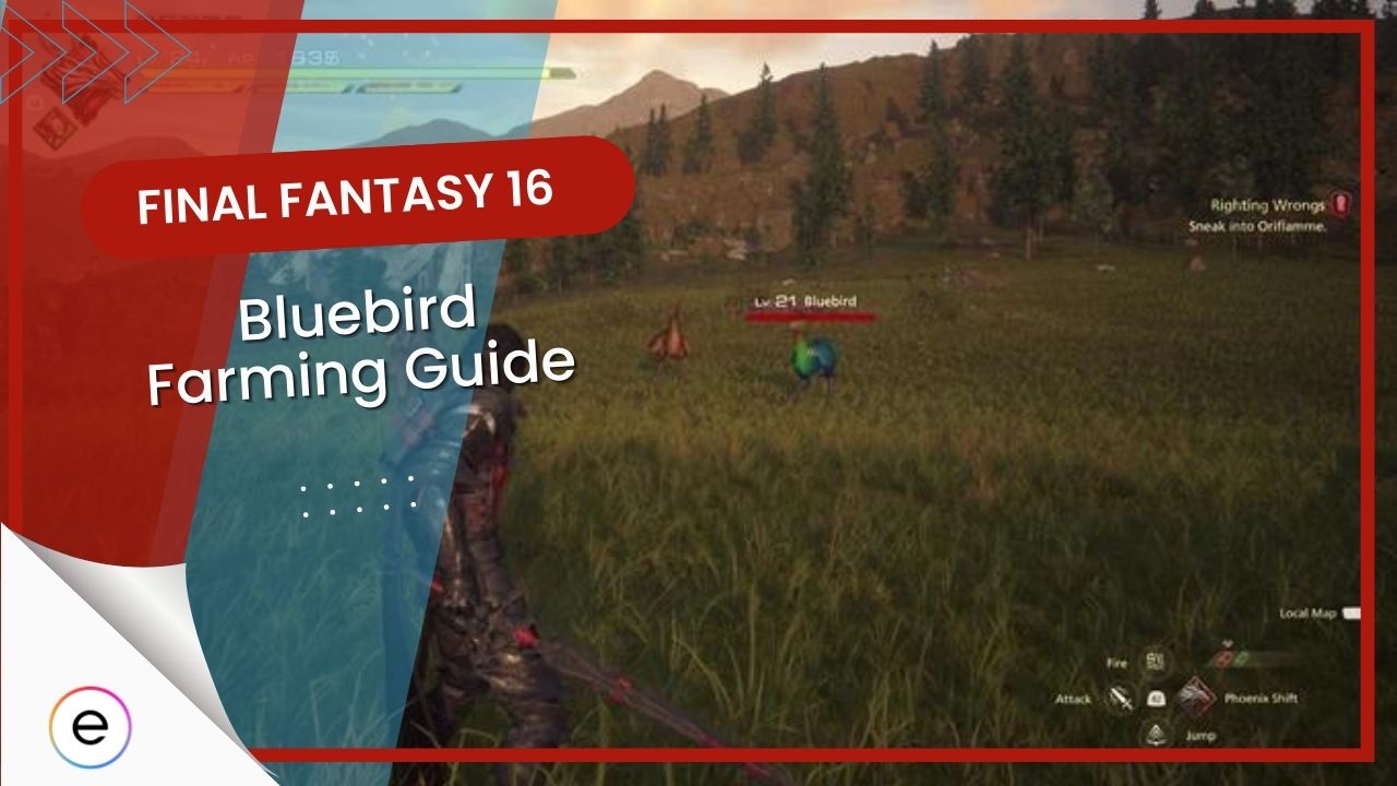 A complete guide on FF16 Bluebird.