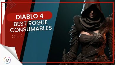 Diablo 4 BEST Rogue Consumables