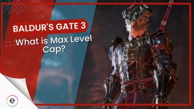 Max Level Baldurs Gate 3