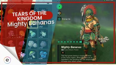 complete guide explaining about mighty bananas in Tears of Kingdom