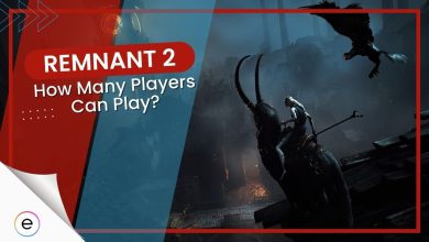 How Many Players Can Play Remnant 2