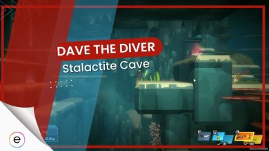 this guide explains about What Is The Stalactite Cave its location and how to collect jellyfish and sea grape In Dave the Diver