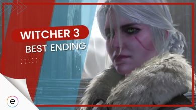 How To Get The Best Ending in Witcher 3