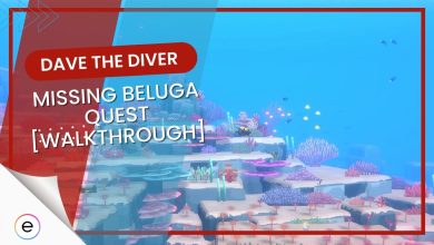 the missing beluga dave the diver