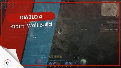 Storm Wolf build diablo 4