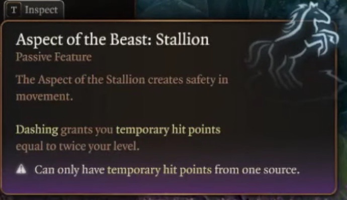 Aspect of the Beast_Stallion