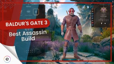 Baldur's Gate 3 Best Assassin Build
