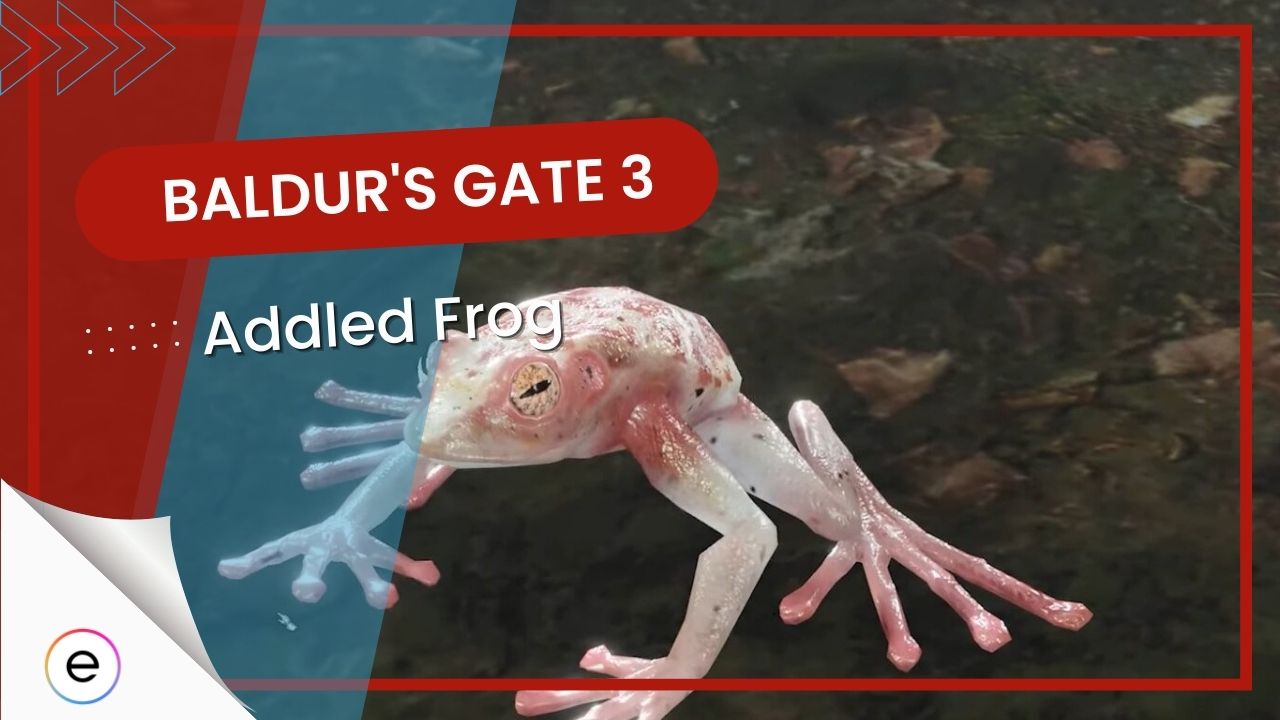 Addled Frog In BG3