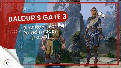 Baldur's Gate 3 Best Race for Paladin