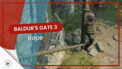 Can You Use The Rope In BG3