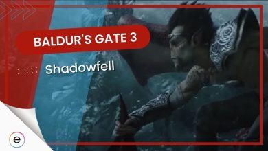 Baldur's Gate 3 Shadowfell