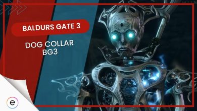 Baldurs Gate 3 Dog collar