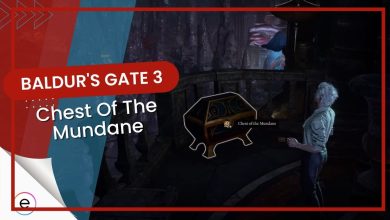 Baldur's Gate 3: Chest of the Mundane