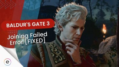 Baldurs Gate 3 joining failed error