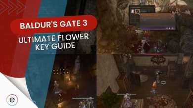The Ultimate Baldur's Gate 3 Flower Key