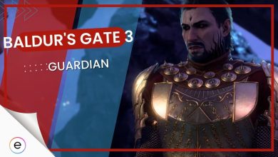 Baldur's Gate 3: Guardian