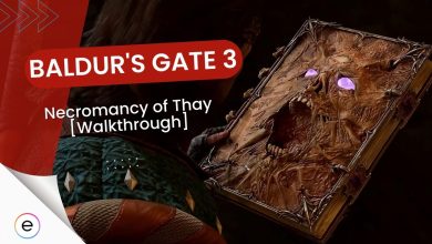 Necromancy of Thay Baldur's Gate 3