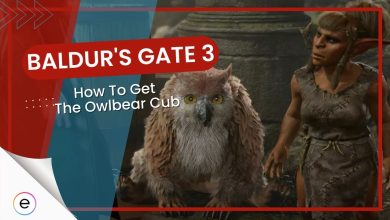 how to get owlbear cub bg3