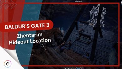 Baldur's Gate 3 zhentarim hideout