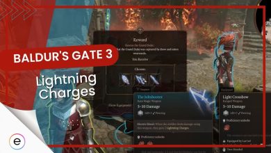 Baldur's Gate 3:Lightning Charges