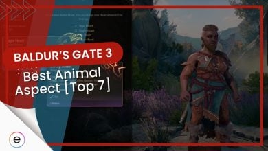 Best Animal Aspect [Top 7]