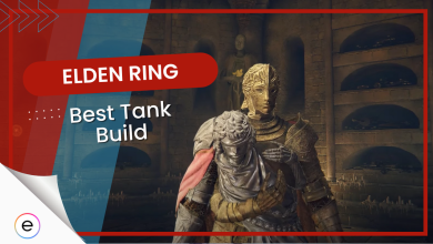 Elden Ring Best Tank Build