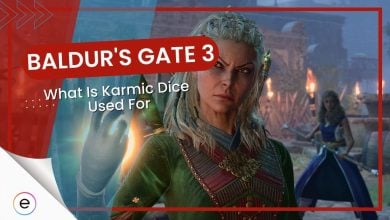 Karmic-Dice-BG3-Guide