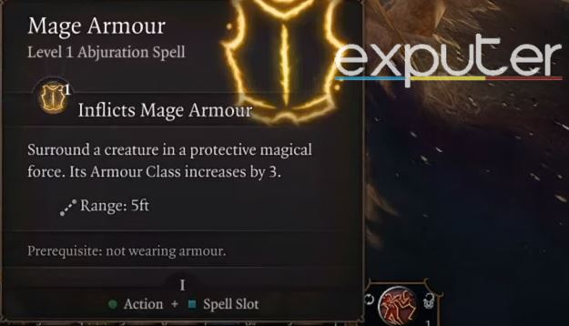 Spell Mage Armour