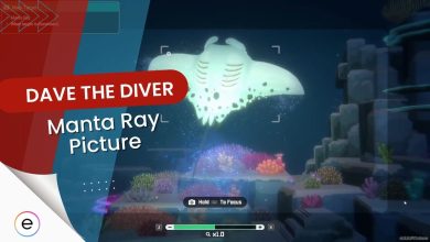 detailed guide about the mission named as capturing picture of Manta Ray in Dave the Diver.