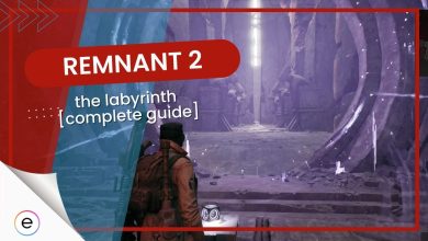 Remnant 2 the labyrinth