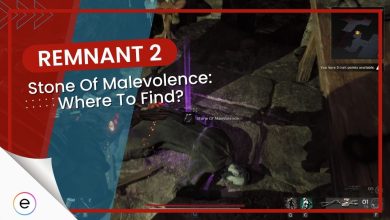 Complete guide on where to find Stone Of Malevolence Remnant 2.