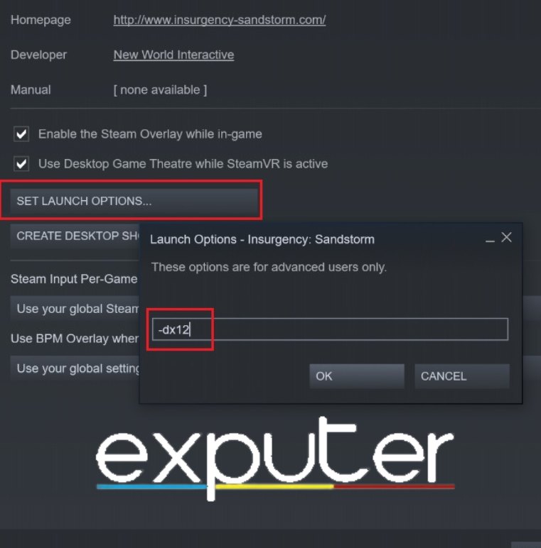 Add DirectX12 To Launch Options (Image By Exputer)