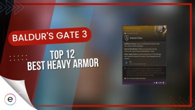 heavy armor best bg3