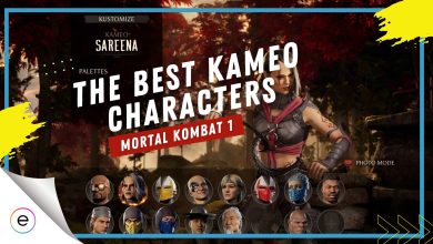 Best Kameo Characters in MK1