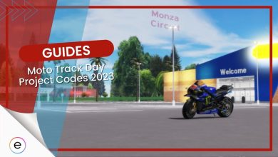 Active Moto Track Day Project Codes 2023