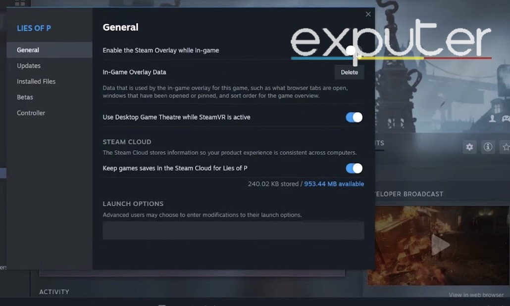  Enable Steam Overlay