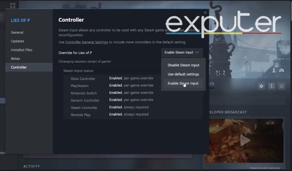 Enable Steam Input